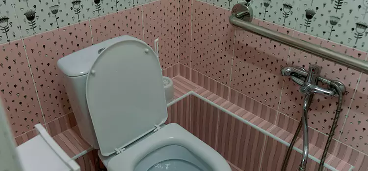 Meeting Diverse Needs With Accessible Restroom Solutions in Maywood, IL